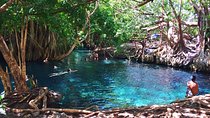Kikuletwa Hot springs - Day Trip
