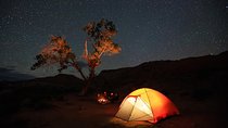 Private Liwa Overnight Safari for Couples