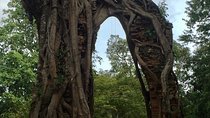 Sambor Prei Kuk Off Beaten Track 