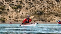Darwin Experience - kayaks & adventure