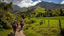 Horse ride in the Mugello (transfer from / to Florence) and Tuscan aperitif