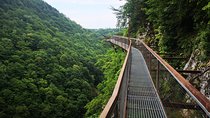 Georgia Tour Package 5 Days