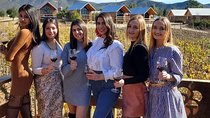 Valle de Guadalupe Wine Tour
