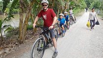 Luxury Mekong Delta and Cu Chi Tunnel full day tour depart from Sai Gon