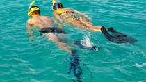 Snorkeling at Mnemba Atoll