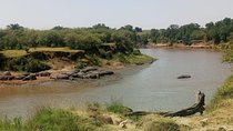 2 days maasai mara joining safari