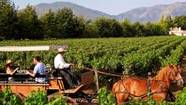 Colchagua Valley Viñas Viu Manet and Montes Alfha