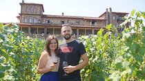 Full-Day Wine Tasting Tour to Kakheti with Lunch from Tbilisi