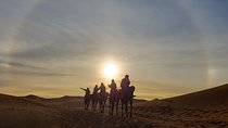 9 Days Southern Oasis, Kasbahs & Desert Morocco Cultural Tour from Marrakech