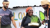 African food,arts and story telling 