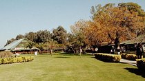 Excursion to Estancia in the Pampas with lunch + Dinner Tango Show