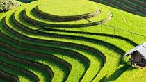 Mu Cang Chai trekking 4 days 3 nights