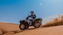 Half-Day Quad Bike Tour in Dubai Dunes with Camel Ride 