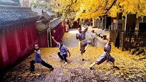 2-Day Private Tour from Chengdu with Hotel: Shaolin Temple and Longmen Grottoes