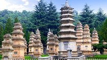 Private Day Tour to Shaolin Temple with Kungfu Show from Xiamen by Air