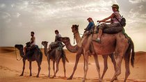 Morning Camel Trekking with Dune Bashing and Sand Boarding