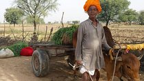 12 Days Heritage of Royal Rajasthan Tour with Golden Tringle