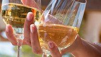 Discovery and Tasting of Biodynamic Wine in Alsace