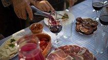 Lake Skadar Winery and Culinary Day Tour inc. wine tasting 