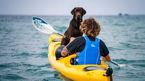 Small-Group Santorini Sea Caves Kayak Trip with Snorkeling & Picnic 