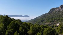 Tarragona Ruins & Priorat 1 day - Reduced group hotel pick up from Barcelona