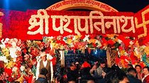 Pashupatinath and Doleshwor Mahadev Temple Darshan Tour From Kathmandu
