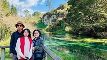 Blue Springs, Redwood Forest, Huka Falls Private tour