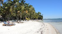 Private 12-hour Tour to Key Largo and Isla Morada from Miami Dade