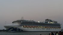 Half-Day Private Taxi Tour in Kochi 