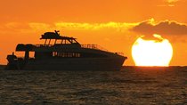 San Diego Dolphin Watch Sunset Cruise Mission Bay