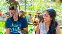 Monkeyland Puerto Plata
