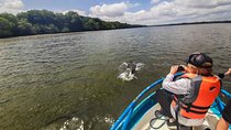 Dolphin Watching Experience in Puerto El Morro from Guayaquil