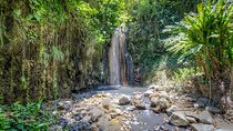 Best Soufiere Round the Island Tour