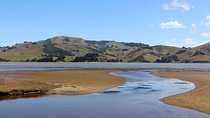 Dunedin City, Wildlife and Larnach Castle