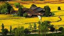 Full-Day Tour to Zhangjiajie Grand Canyon Yellow Dragon Cave
