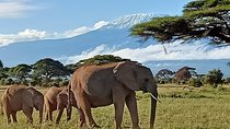 13 Days Photographers safari
