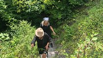 Private hiking tour to Olympus mountain