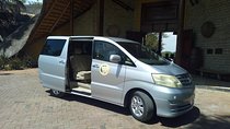 Private One way Victoria Falls Airport, Zimbabwe to Livingstone, Zambia Transfer
