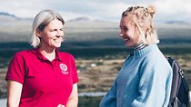 Golden Circle, Fridheimar Farm & Horses Small Group Tour from Reykjavik