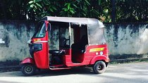 Tuk Tuk Rentals 