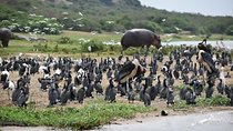 3 Day Tour to Queen Elizabeth National Park