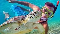 Bali : Blue Lagoon Snorkeling combine with Bali Swing in Ubud