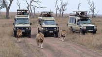 5 Days Safari – SELOUS & ZANZIBAR