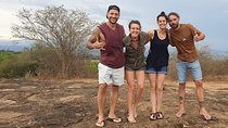 Minneriya National Park Private Safari Tour