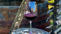 ️ Kakheti tour - Private Full Day Wine tour with Lunch and Wine tasting