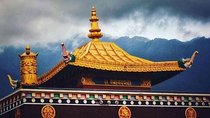 Trip to Dharamshala & McLeodganj from Delhi 