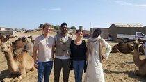 Private Full-Day Shalateen Camel Market Tour from Marsa Alam 