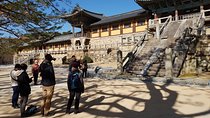 7 Day Essential Korea Tour(Seoul, Nami, DMZ, Andong, Gyeongju, Busan_Meal Incl.)