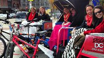 DC Rickshaw Monuments Tour