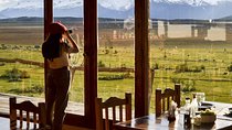 Rio Miter Horseback Riding